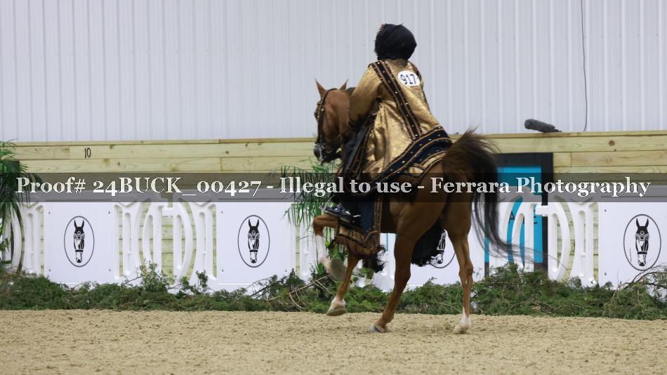 Proof 24BUCK_00427