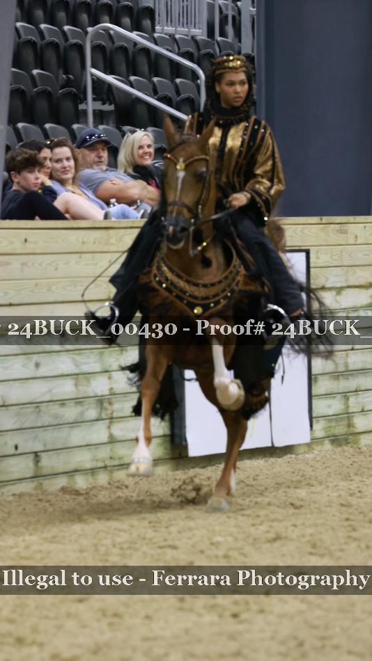 Proof 24BUCK_00430