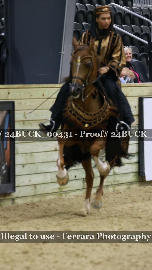 Proof 24BUCK_00431