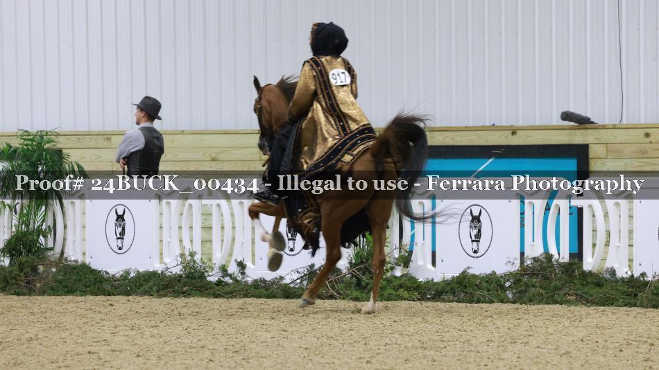 Proof 24BUCK_00434