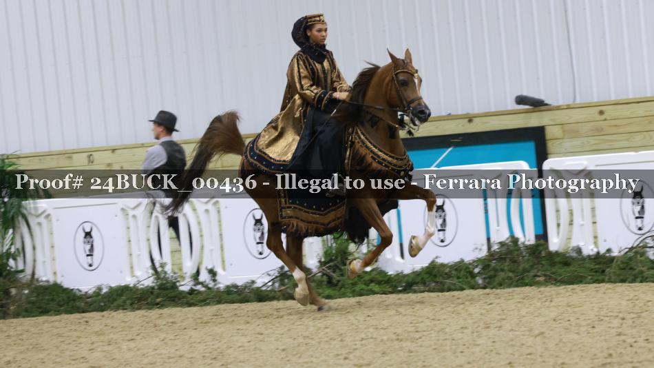 Proof 24BUCK_00436