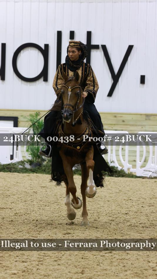 Proof 24BUCK_00438