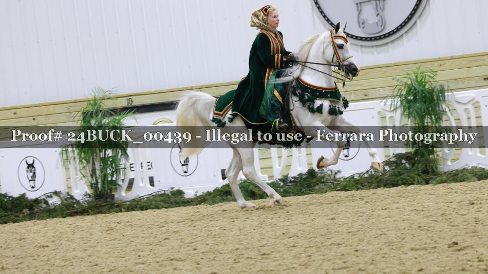 Proof 24BUCK_00439