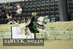 24BUCK_00440 proof