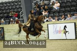 24BUCK_00442 proof