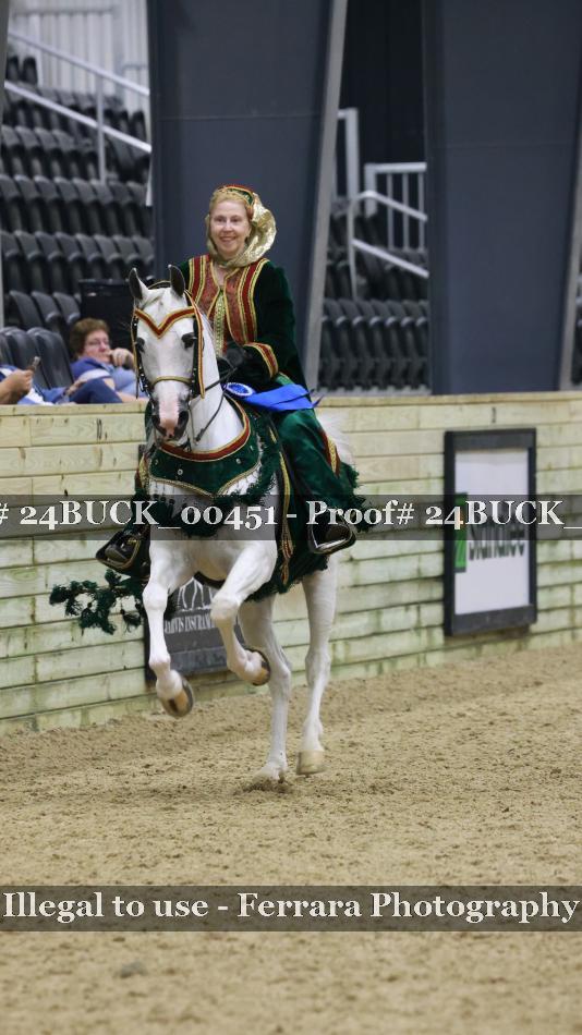 Proof 24BUCK_00451