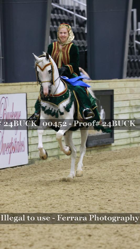 Proof 24BUCK_00452