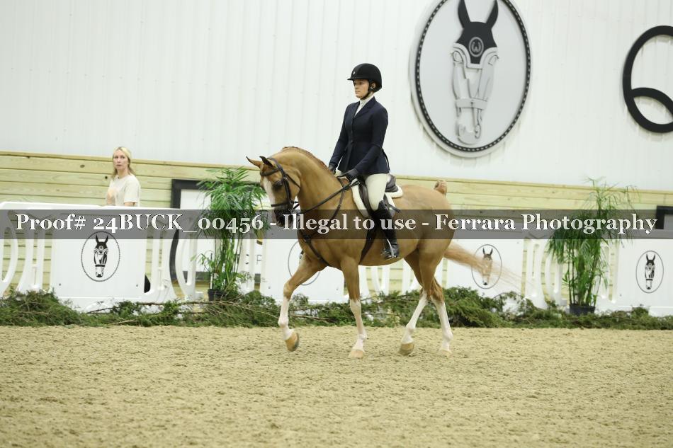 Proof 24BUCK_00456