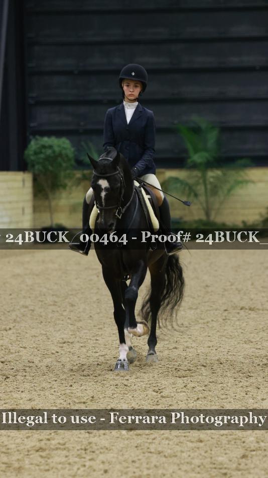 Proof 24BUCK_00464