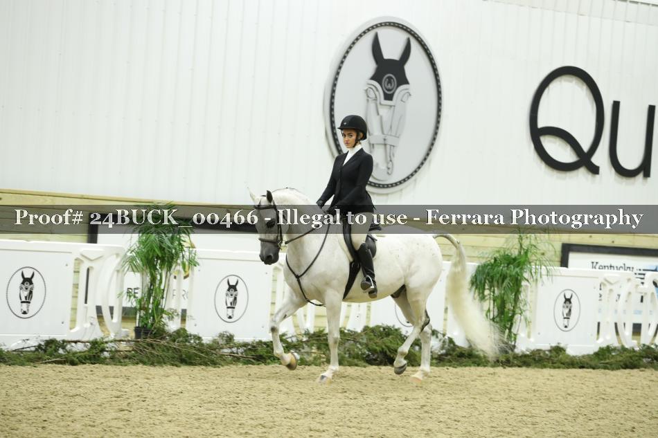 Proof 24BUCK_00466
