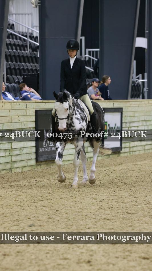 Proof 24BUCK_00475