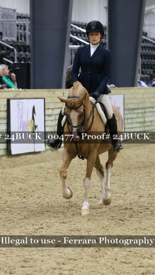 Proof 24BUCK_00477
