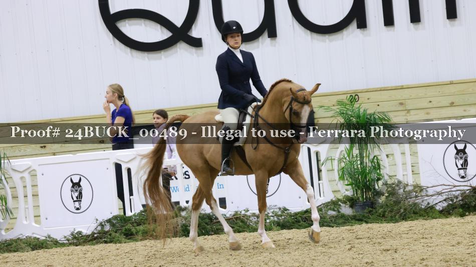 Proof 24BUCK_00489