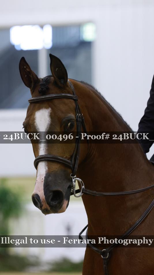 Proof 24BUCK_00496