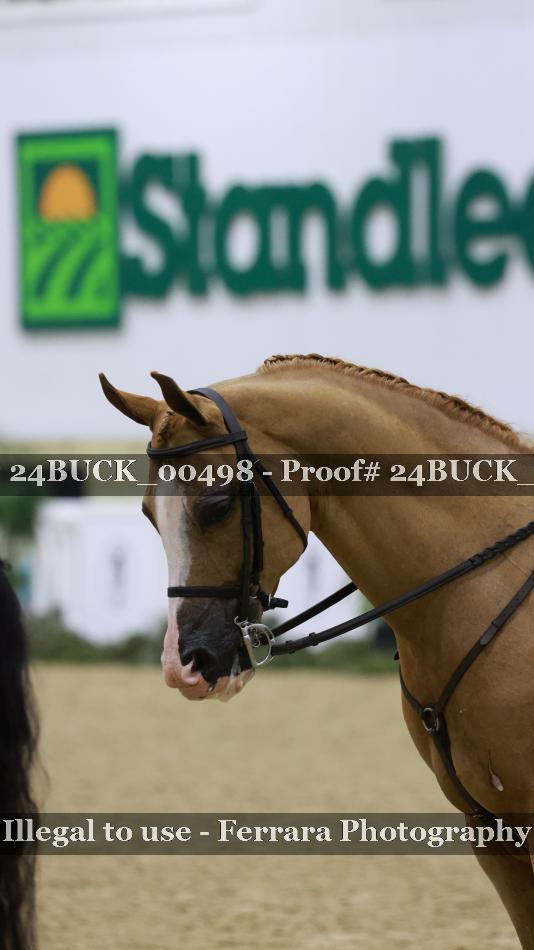 Proof 24BUCK_00498