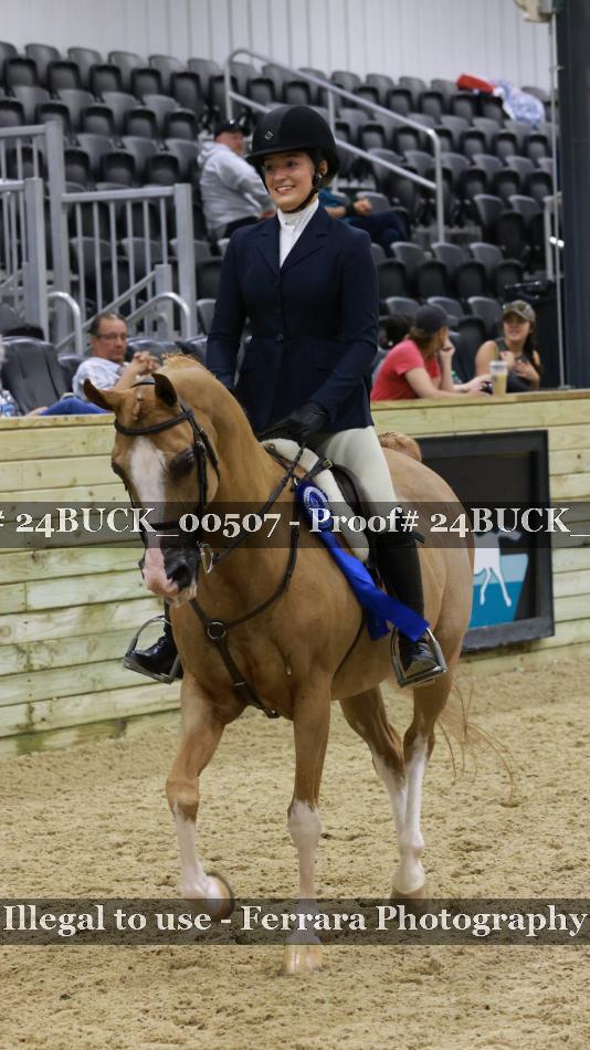 Proof 24BUCK_00507