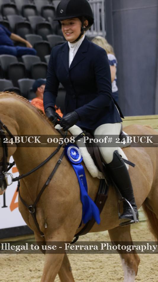 Proof 24BUCK_00508