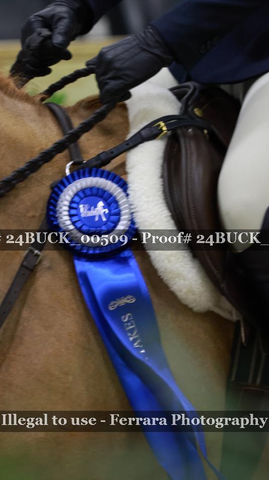 Proof 24BUCK_00509