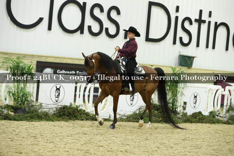 Proof 24BUCK_00517