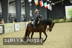 24BUCK_00524 proof