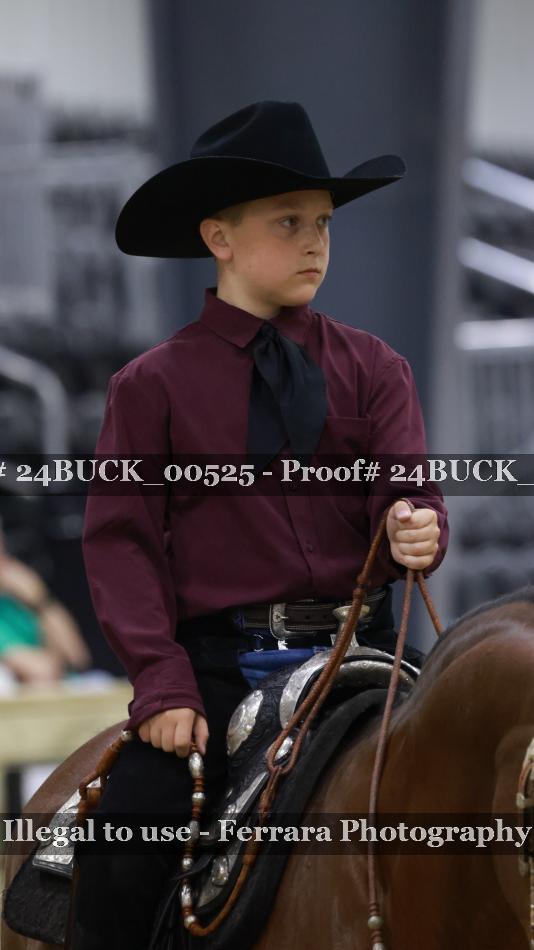 Proof 24BUCK_00525