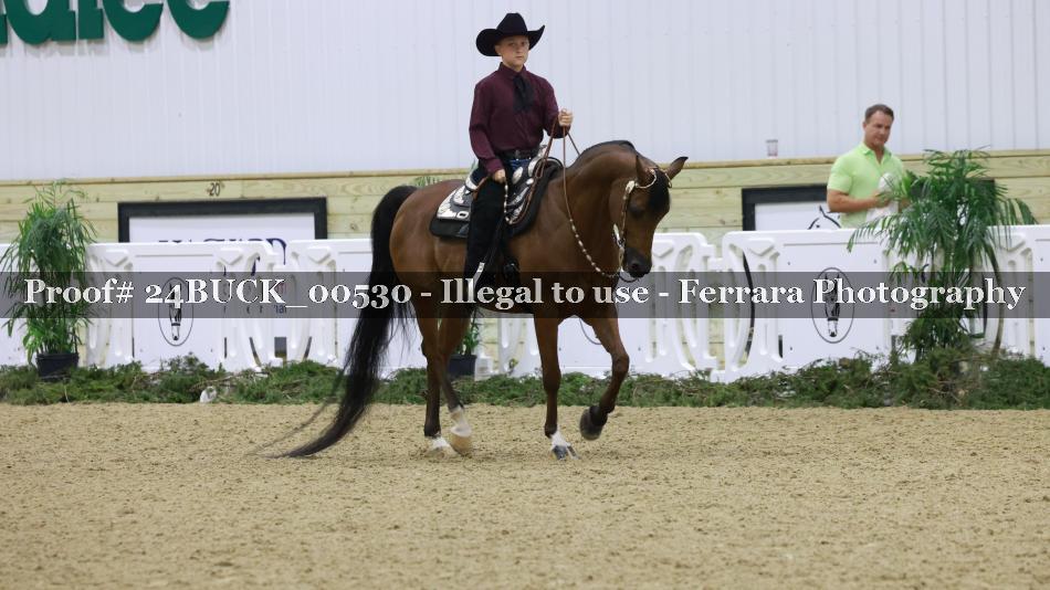 Proof 24BUCK_00530