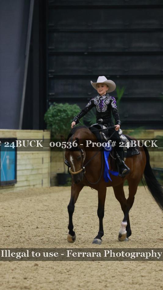 Proof 24BUCK_00536