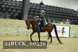 24BUCK_00539 proof