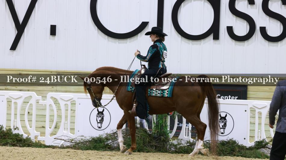 Proof 24BUCK_00546