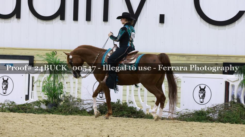 Proof 24BUCK_00547