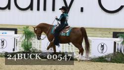 24BUCK_00547 proof