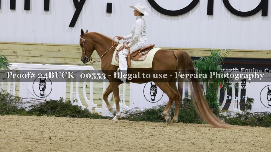 Proof 24BUCK_00553