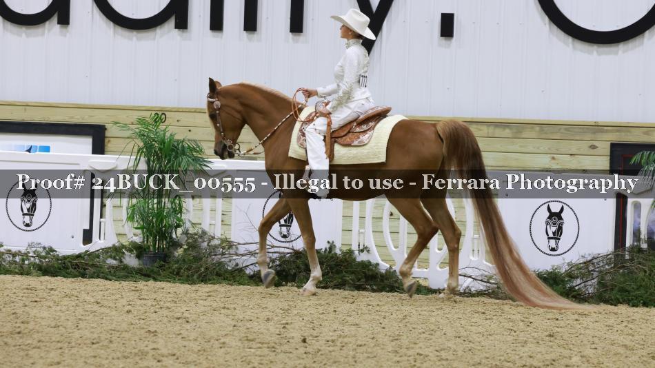 Proof 24BUCK_00555