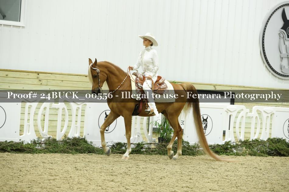 Proof 24BUCK_00556