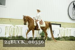 24BUCK_00556 proof