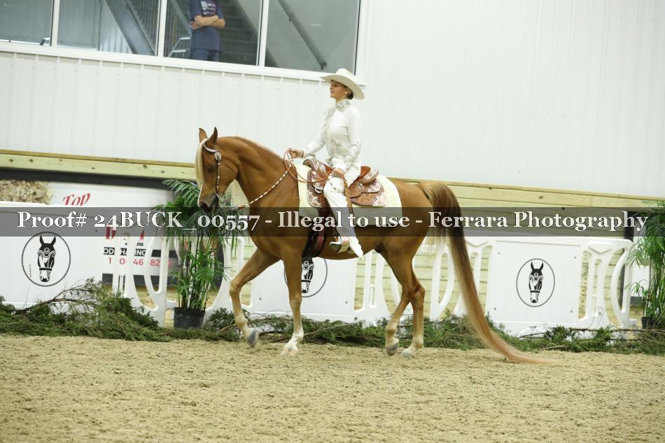 Proof 24BUCK_00557
