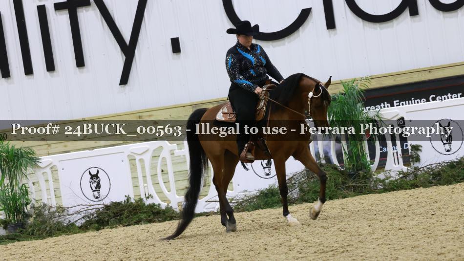 Proof 24BUCK_00563