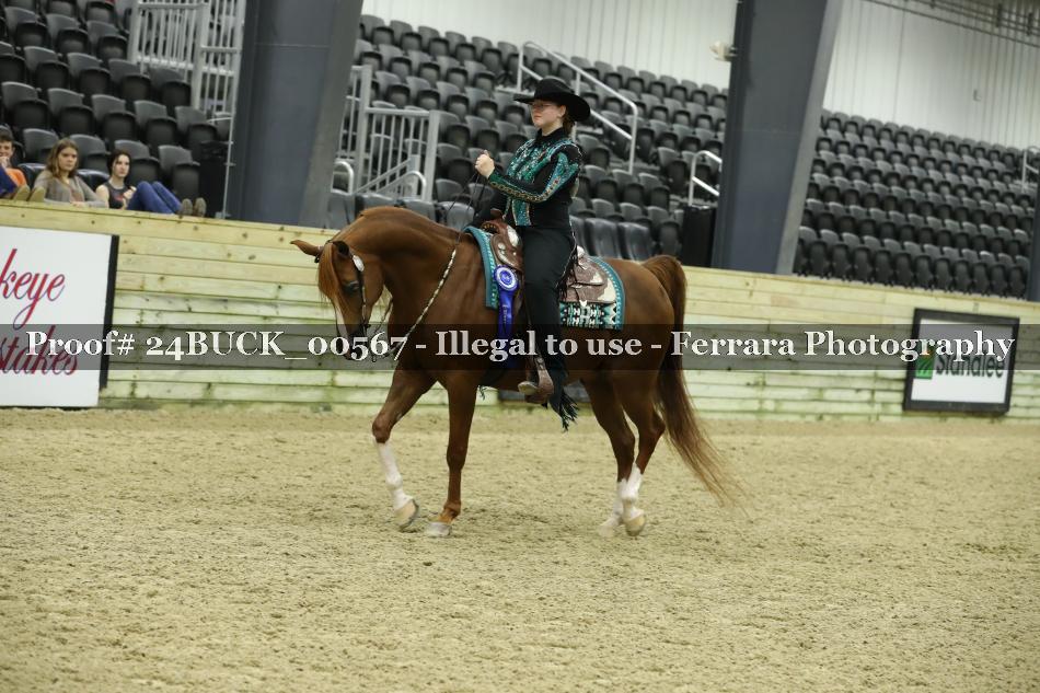 Proof 24BUCK_00567