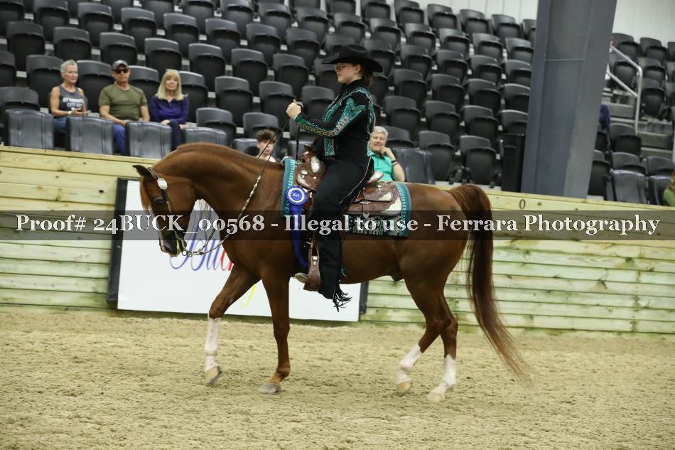 Proof 24BUCK_00568