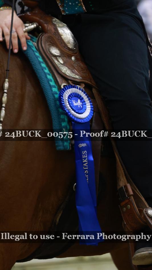 Proof 24BUCK_00575