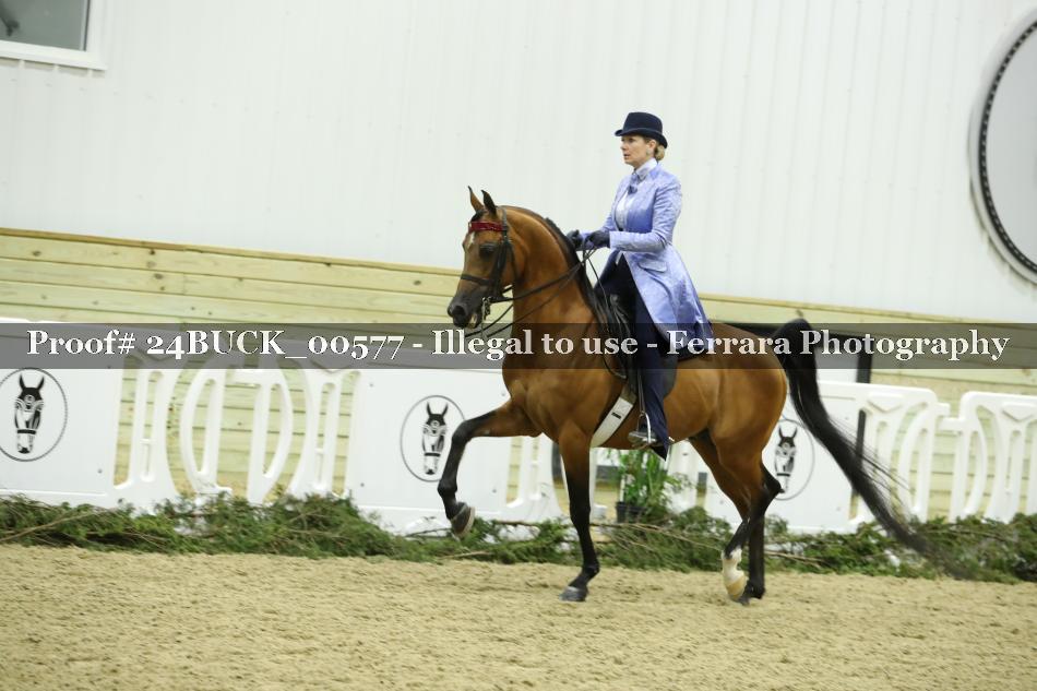 Proof 24BUCK_00577