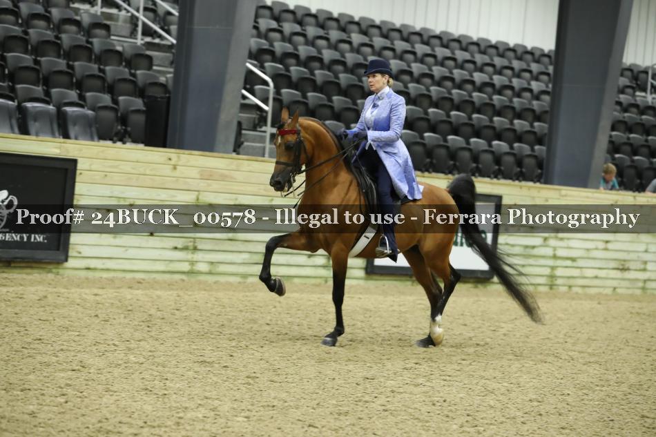 Proof 24BUCK_00578