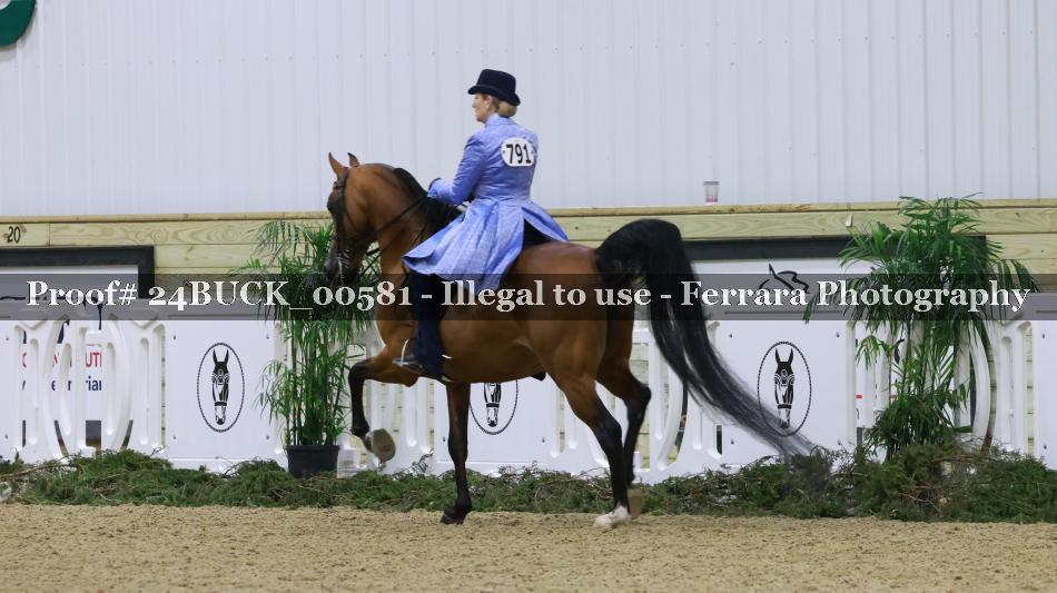 Proof 24BUCK_00581