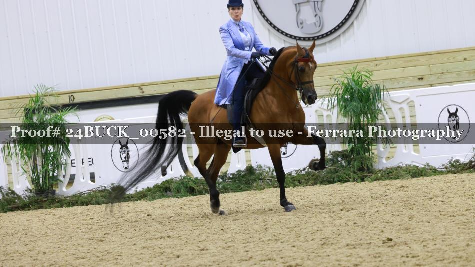 Proof 24BUCK_00582
