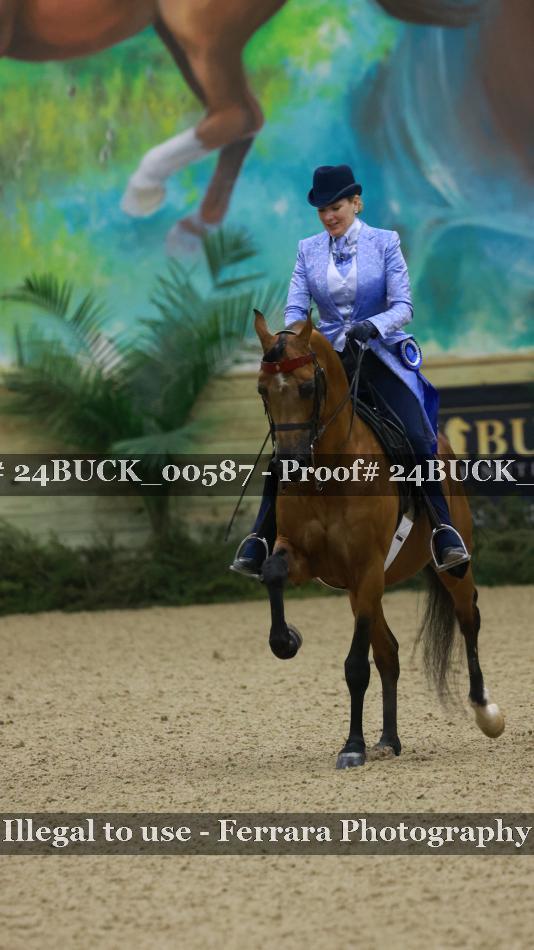 Proof 24BUCK_00587
