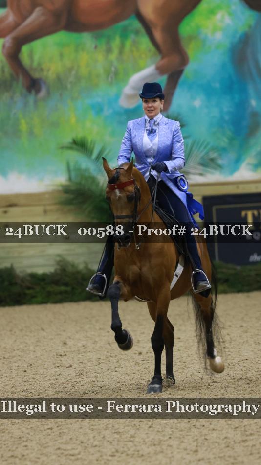 Proof 24BUCK_00588