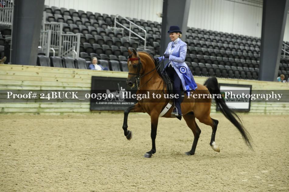 Proof 24BUCK_00590