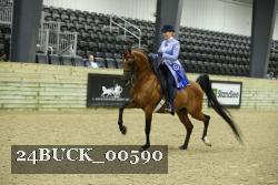 24BUCK_00590 proof