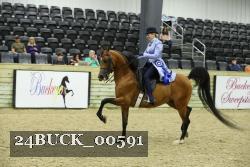 24BUCK_00591 proof