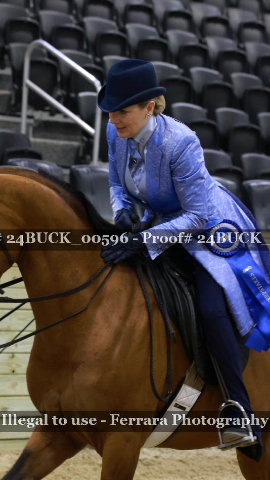 Proof 24BUCK_00596